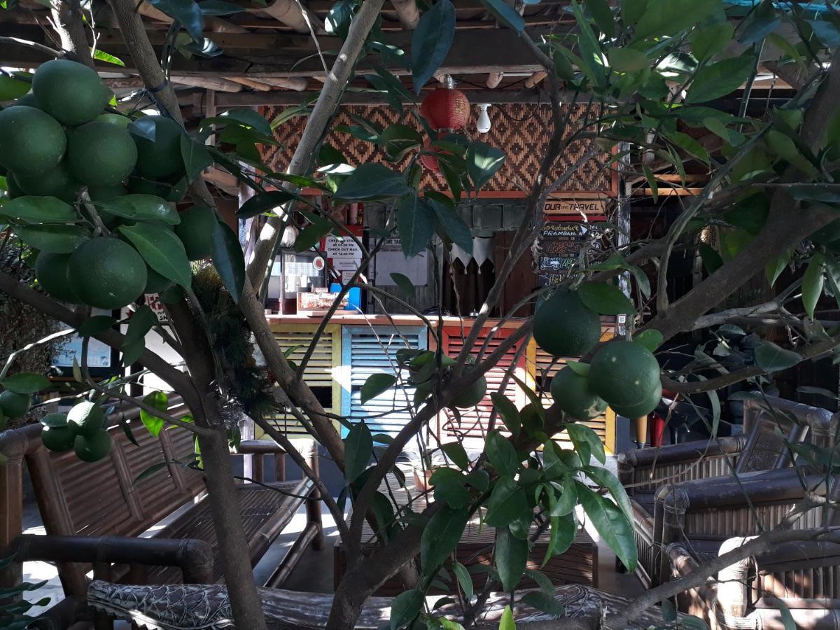 Arjuna Garden Homestay Yogyakarta Exterior photo